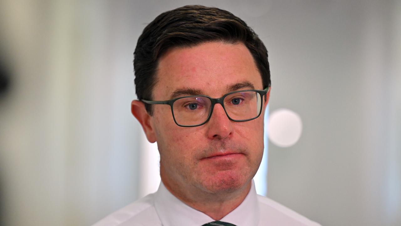 Nationals leader David Littleproud