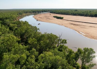 Nature overhaul unlikely to stall key project approvals