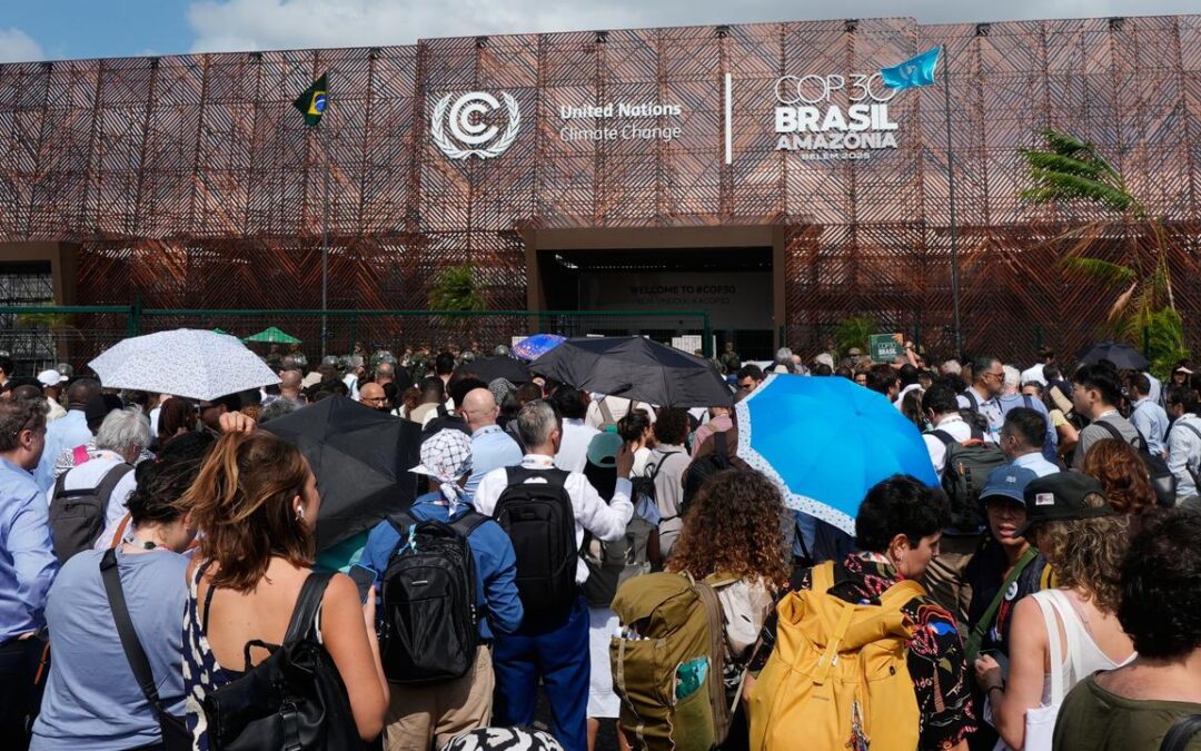 Australia to make eleventh-hour bid to seal COP31 deal