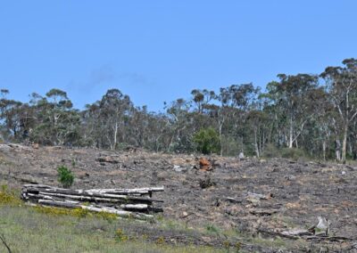 ‘No illusions’ Labor’s environmental reforms will pass