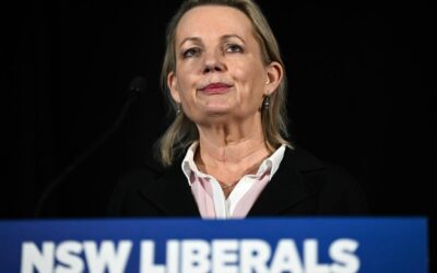 Liberals go back to basics after crawling to year’s end