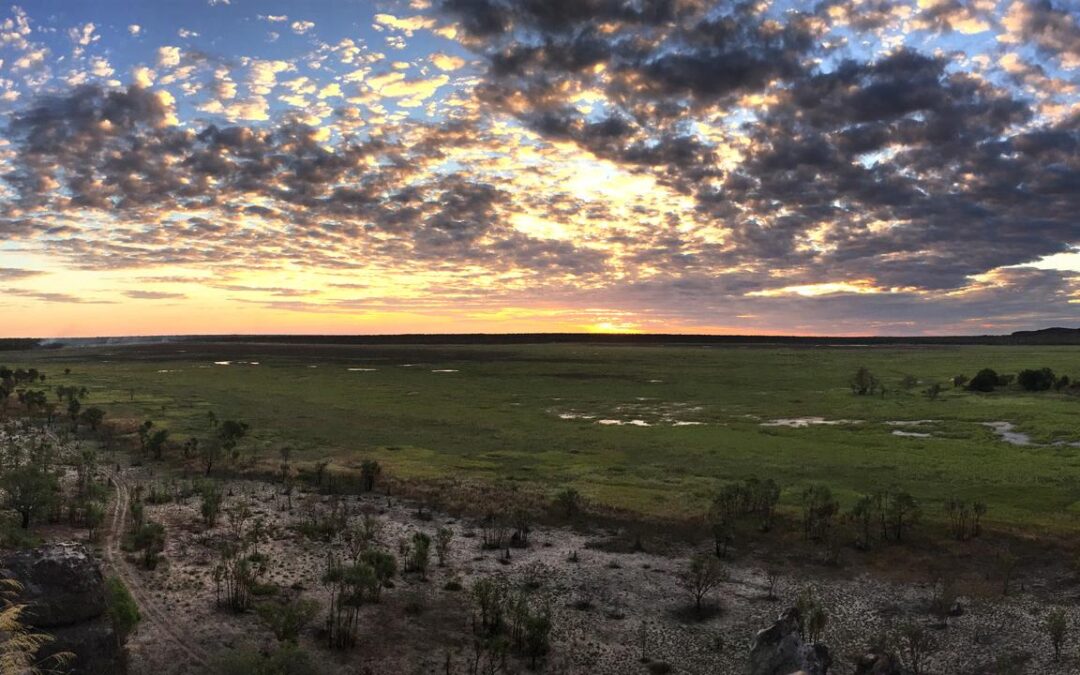 D-day for deal on contentious environmental law reforms