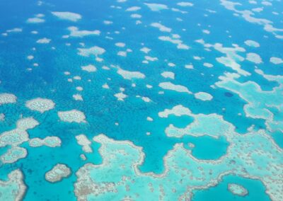 Legal loopholes threaten reef, ex-Treasury boss warns