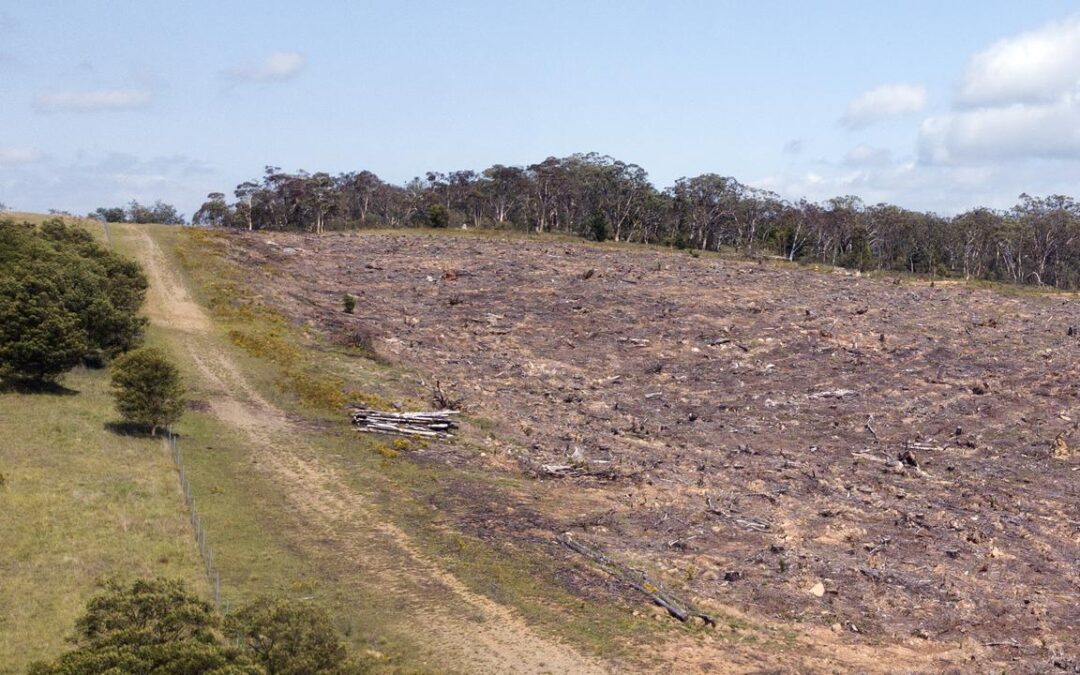 Labor path to pass nature laws in last week narrows