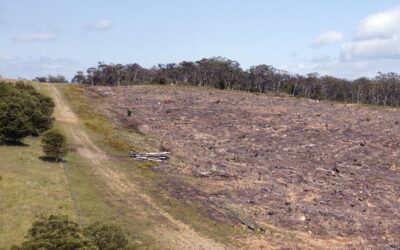 Labor path to pass nature laws in last week narrows
