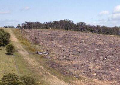 Labor path to pass nature laws in last week narrows