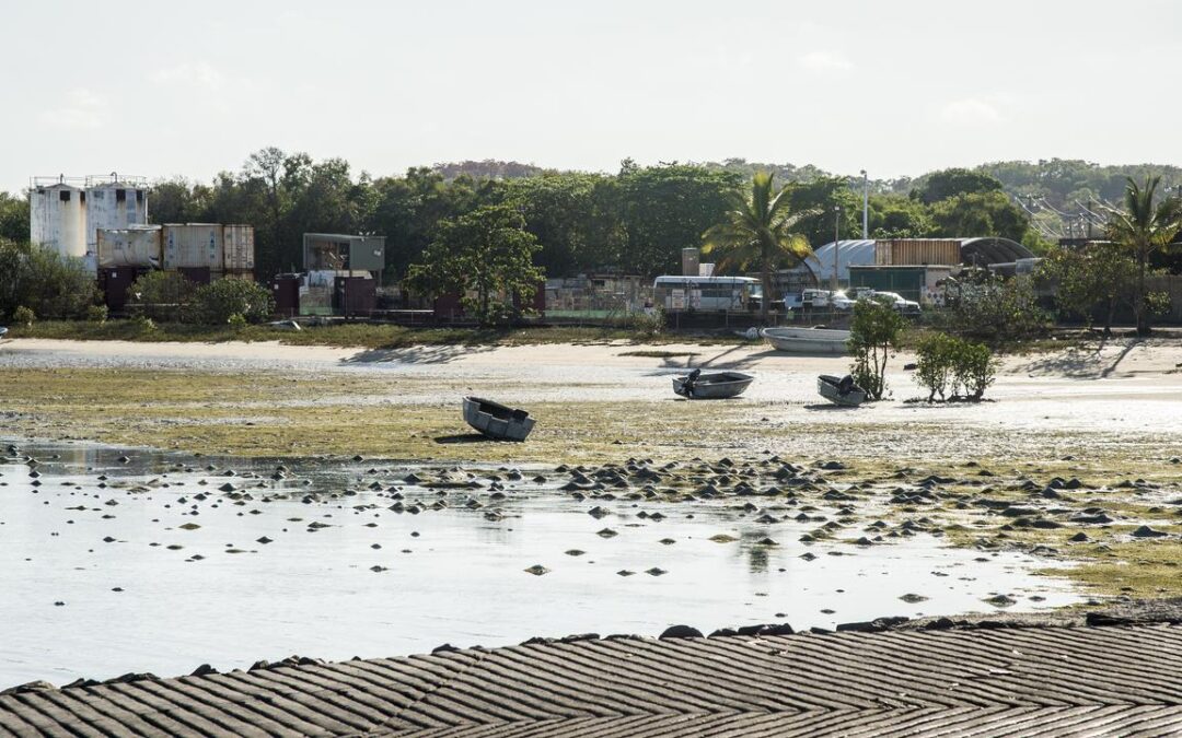 Golden eye on northern island after spot price surge