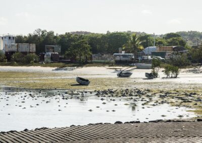 Golden eye on northern island after spot price surge