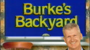 Burke's backyard