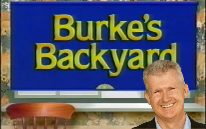 Burke’s backyard. Local content deal for streamers not what it seems.