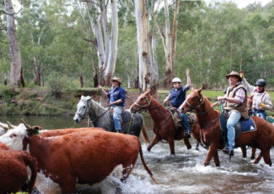 Spring racing fever. EPIC Cup unbackable favourite revealed