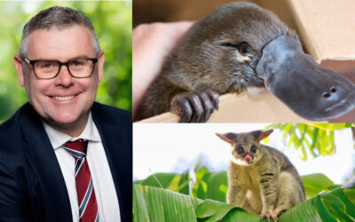 From ‘net zero’ to ‘net gain’. The platypus-to-possum exchange rate