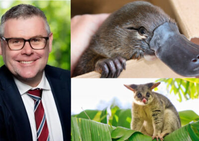 From ‘net zero’ to ‘net gain’. The platypus-to-possum exchange rate