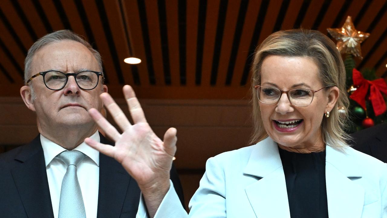 Anthony Albanese and Sussan Ley (file image)