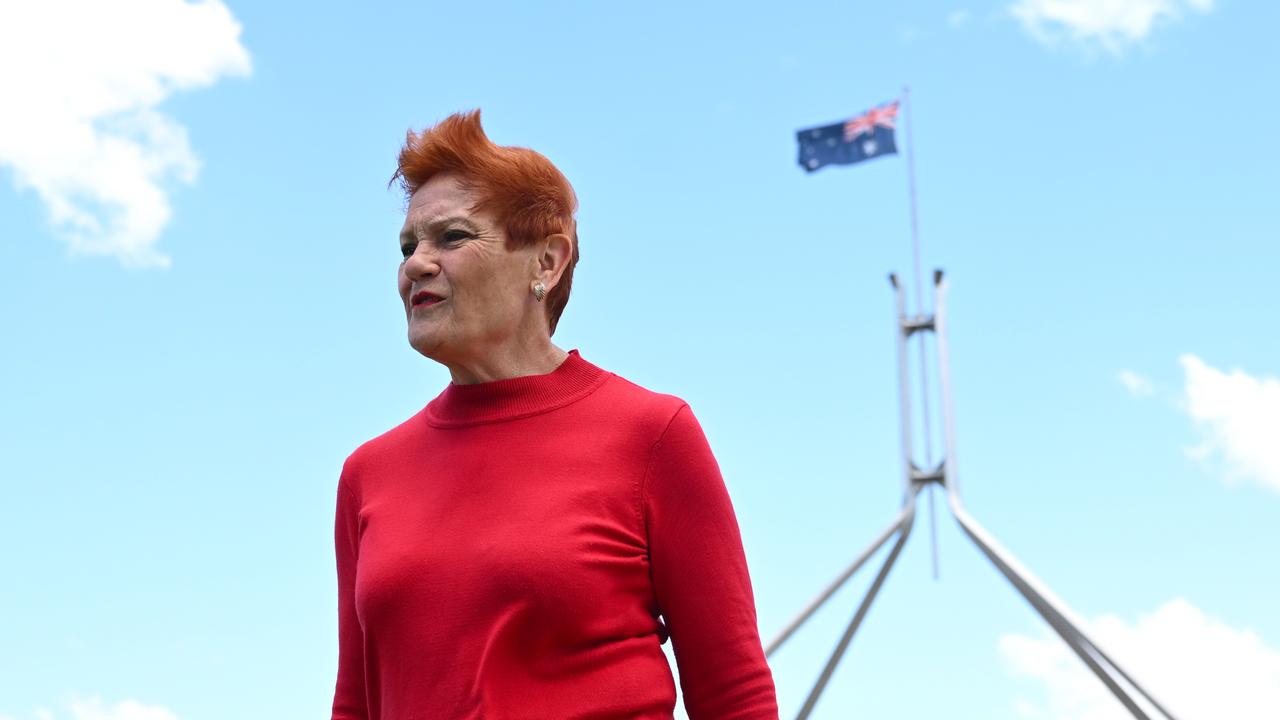 One Nation senator Pauline Hanson