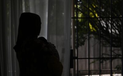 Charities at stake after fail on workers comp reform