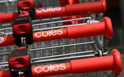 ‘Do you care?’: Coles stares down anti-salmon activists