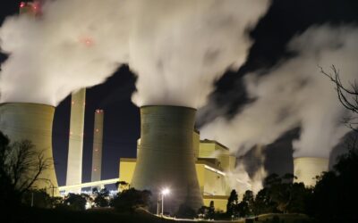 Coalition whipped for policy akin to ‘horse and buggy’