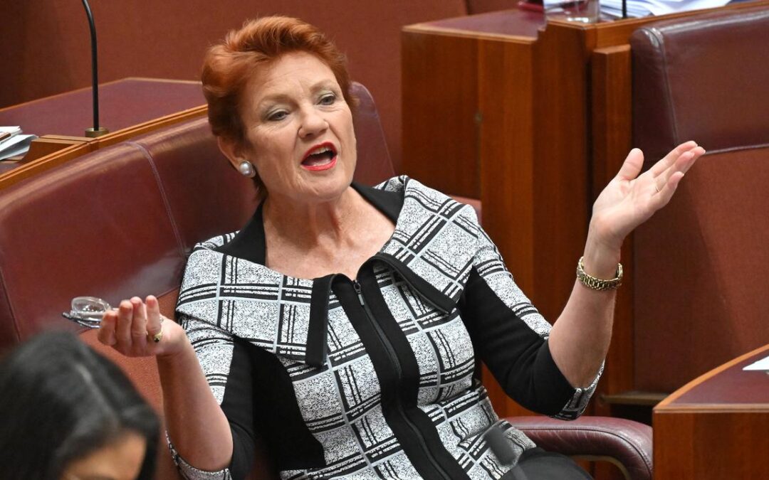 Hanson’s tweet ‘unfit for afternoon tea but not racist’