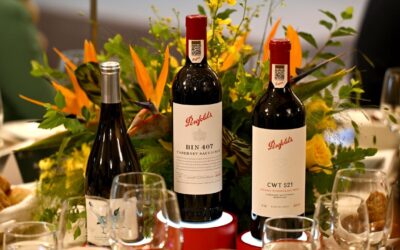 Penfolds owner shares plunge on earnings downgrade