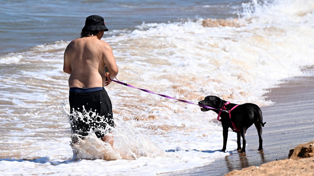 A file photo from Redcliffe