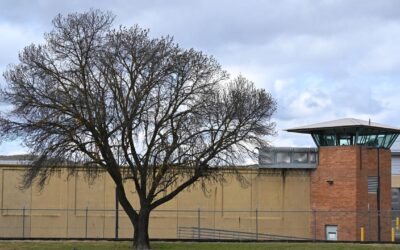 Stark picture revealed on Indigenous deaths in custody