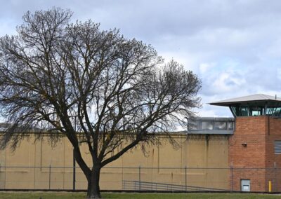 Stark picture revealed on Indigenous deaths in custody