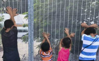 Decade of Nauru deals. Ongoing tragedy of human rights abuses and corruption