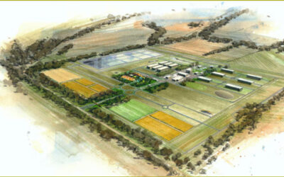 Follow the money. A radioactive farce of failed land purchases