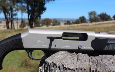 Bondi tragedy. Let’s not forget guns in the political blamefest