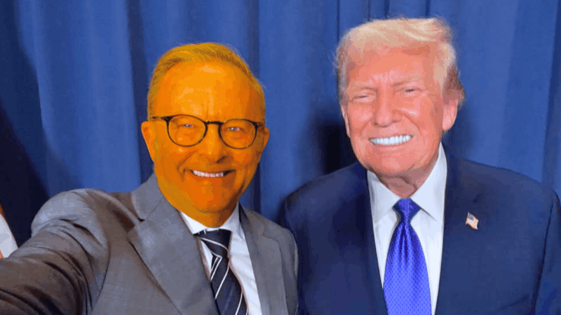 albo-trump-selfie-orange-toner[1]