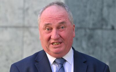Barnaby Joyce announces defection to One Nation