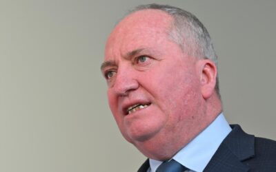One Nation set to capitalise on Barnaby Joyce defection