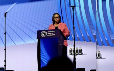 A gas betrayal. King plan favours foreign buyers, gas cartel over mums and dads