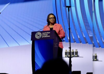 A gas betrayal. King plan favours foreign buyers, gas cartel over mums and dads