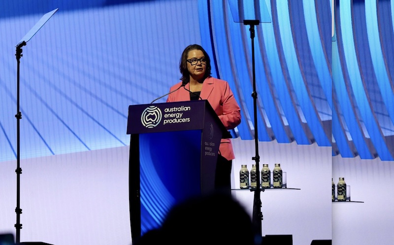 Resources Minister Madeleine King at Australian Energy Producers lobby group