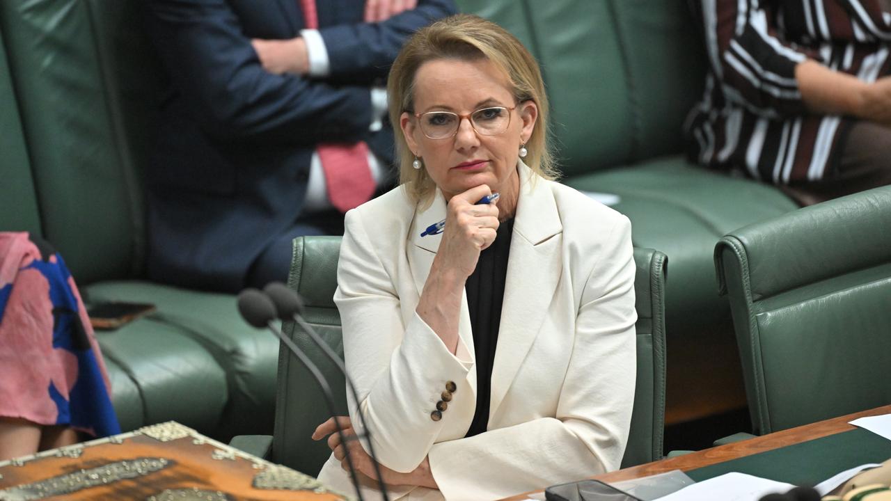 A file photo of Sussan Ley
