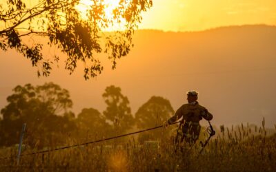 Climate change made heatwave five times more likely