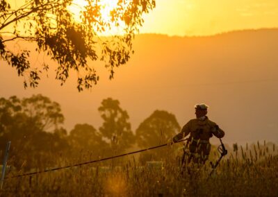 Climate change made heatwave five times more likely