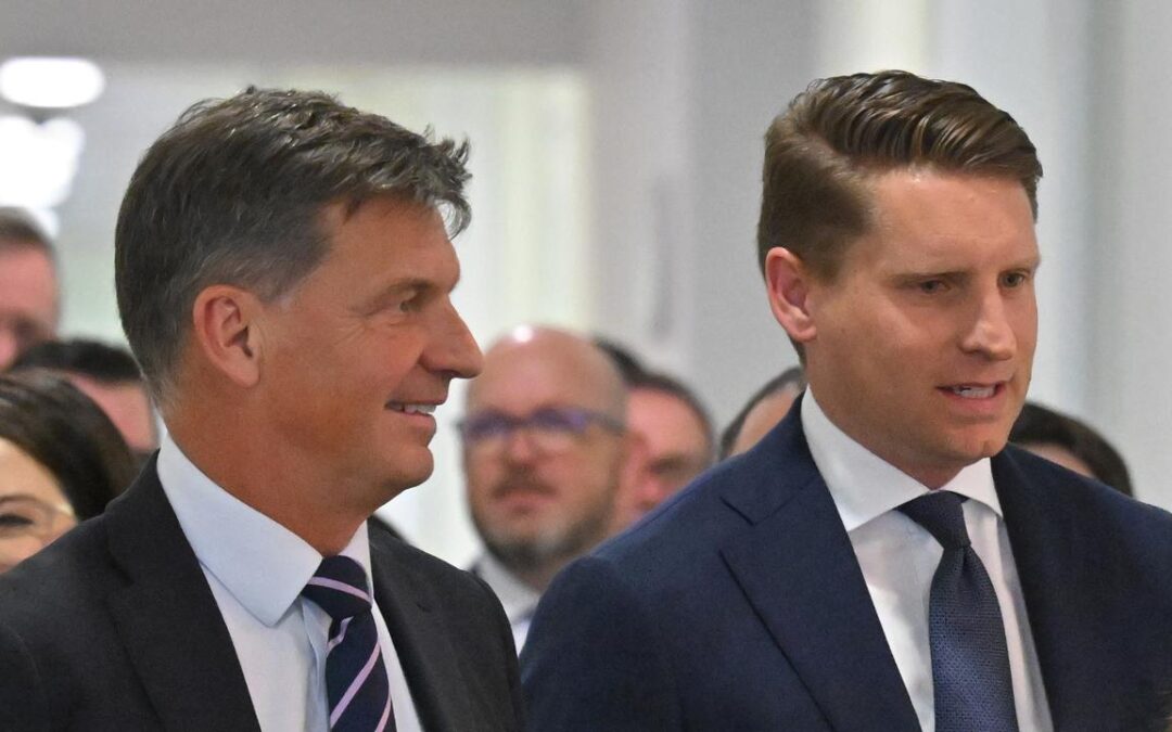 Ley down but not out as Lib challengers jostle for tilt