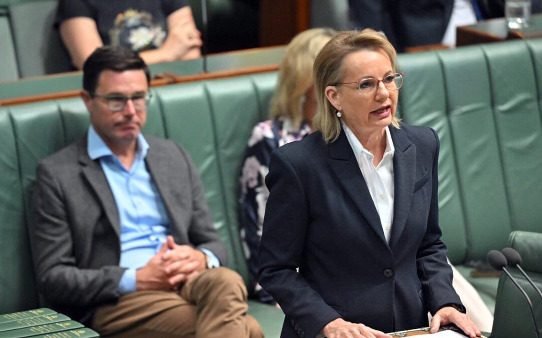 Liberal backers defend Ley as leadership showdown looms