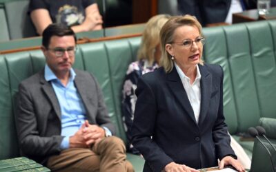 Liberal backers defend Ley as leadership showdown looms