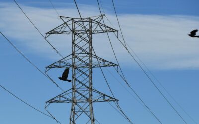 The workers helping power Australia’s energy transition