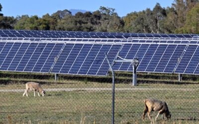 One-in-five solar panels degrading faster than expected