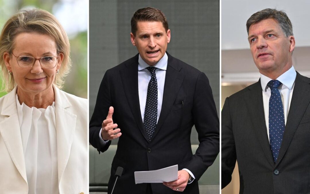 Liberal leader’s allies vow support amid spill ‘frenzy’