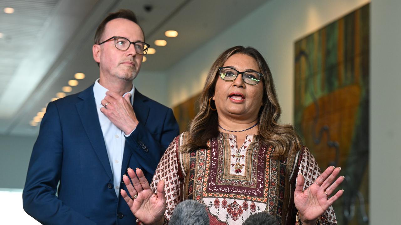 Greens senators Mehreen Faruqi and David Shoebridge