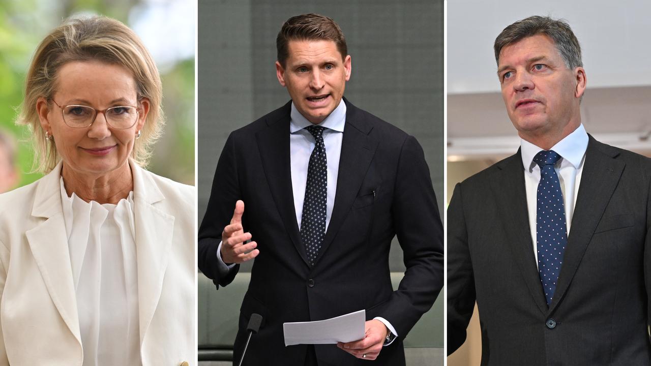 Sussan Ley, Andrew Hastie and Angus Taylor (file images)