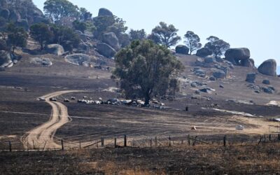Recovery mission begins amid ongoing bushfire threat