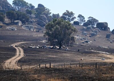 Recovery mission begins amid ongoing bushfire threat