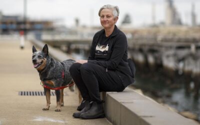 ‘Their career is toast’: writers’ festival anguish